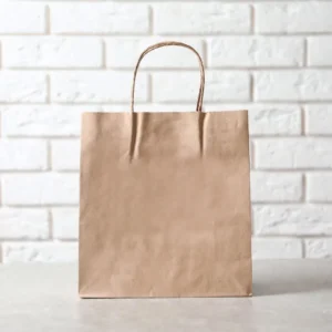 fundas de papel, Shopping bag, contenedores de alimentos, reciclables